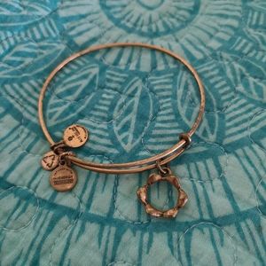 Princess tiara Alex and ani charm bracelet